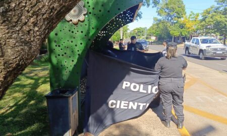Se descompensó y murió en una parada de colectivos en Posadas imagen-12