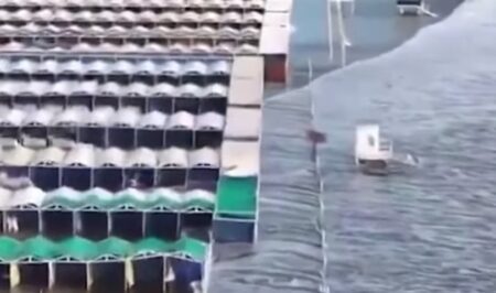 Sudestada en Mar del Plata: el momento exacto en el que la crecida del mar arrasó con varias carpas y cubrió la arena imagen-8