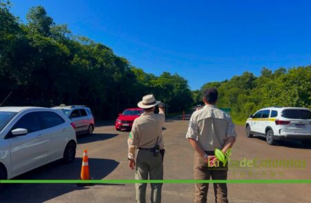 Refuerzan controles de velocidad en el Parque Nacional Iguazú para proteger la fauna Refuerzan controles de velocidad en el Parque Nacional Iguazú para proteger la fauna imagen-13