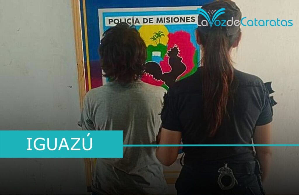 Detenida tras provocar daños en vehículos estacionados en la vía pública Detenida tras provocar daños en vehículos estacionados en la vía pública imagen-5