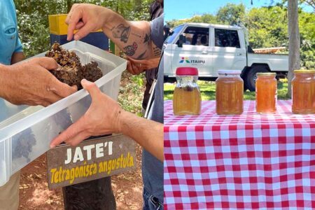 Extraen miel de abejas nativas por primera vez en el Refugio Biológico de Mbaracayú de ITAIPU imagen-16