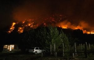 Confirmaron que hallaron rastros de combustible donde se inició el incendio en Chubut y avanzan con la investigación imagen-12