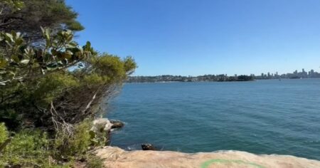 Australia: murió un chico de 12 años tras ser atacado por un tiburón mientras jugaba en el agua con sus amigos imagen-20