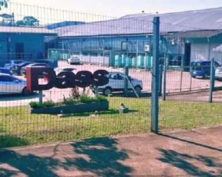 Habrían despedido a alrededor de 40 empleados de la fábrica Dass de Eldorado imagen-4