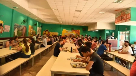 Albergues y comedor, las becas más demandadas por los universitarios imagen-15