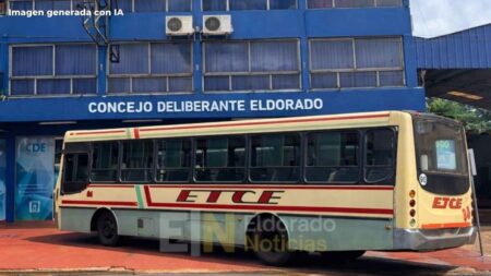 Eldorado fija audiencia pública para debatir el aumento del boleto: será el 2 de febrero Eldorado fija audiencia pública para debatir el aumento del boleto: será el 2 de febrero imagen-6