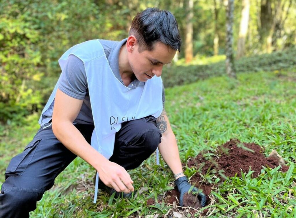 El turismo sustentable de Misiones coronará la Travesía Capricornio 2026 El turismo sustentable de Misiones coronará la Travesía Capricornio 2026 imagen-5