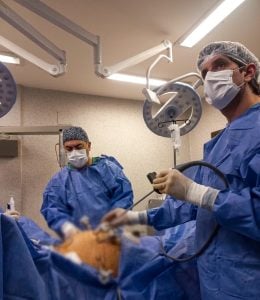 Urología del Hospital Madariaga incrementó un 20% las cirugías y consolida la descentralización en la red del Parque de la Salud imagen-9