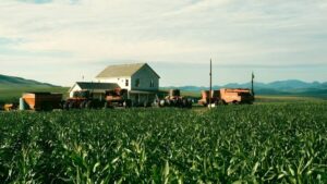 Es una de las mejores películas de ciencia ficción de todos los tiempos: el director odia tanto el CGI que plantó 200 hectáreas de maíz imagen-117