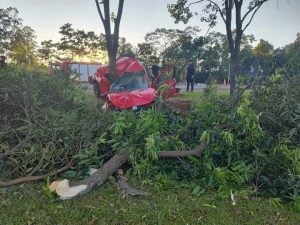 Puerto Rico | Despiste fatal dejó una víctima y un herido de gravedad en la Ruta Nacional 12 imagen-11