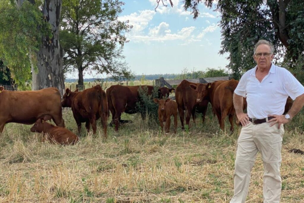 Jaime Mc Lean: el experto que le pone un segundo piso a los campos ganaderos imagen-4