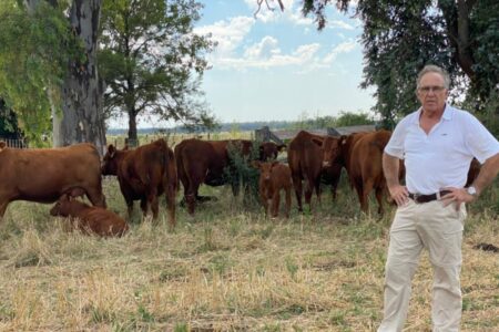Jaime Mc Lean: el experto que le pone un segundo piso a los campos ganaderos imagen-14