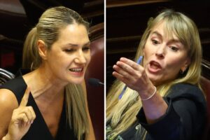 Senado, en vivo: se debaten la reforma laboral y la baja de edad de imputabilidad, minuto a minuto Senado, en vivo: se debaten la reforma laboral y la baja de edad de imputabilidad, minuto a minuto imagen-3