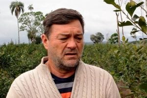 Yerba mate: Cacho Bárbaro propone eliminar la corresponsabilidad gremial para pequeños productores imagen-7