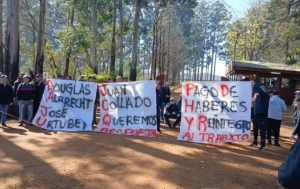 Crisis en Forestadora Tapebicuá: trabajadores convocan a movilización y evalúan bloquear la Ruta Nacional 14 en Gobernador Virasoro Crisis en Forestadora Tapebicuá: trabajadores convocan a movilización y evalúan bloquear la Ruta Nacional 14 en Gobernador Virasoro imagen-7
