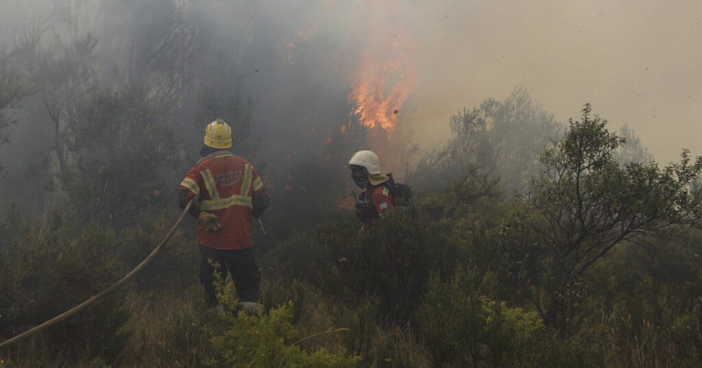 Chubut: detectaron tres nuevos focos de incendio en el parque nacional Los Alerces Chubut: detectaron tres nuevos focos de incendio en el parque nacional Los Alerces imagen-96