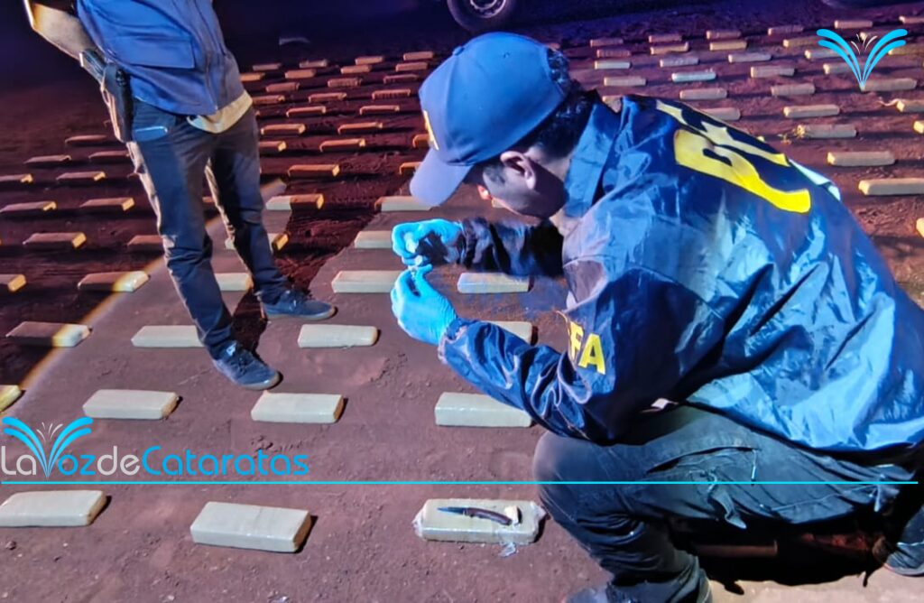 Drones y rastrillajes: la Policía Federal de Iguazú frustró el traslado de 200 kilos de marihuana imagen-75