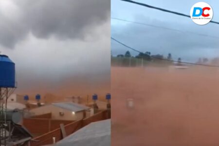 Ráfagas de hasta 83 km/h se registraron en Posadas y el frente avanza hacia el centro provincial imagen-10