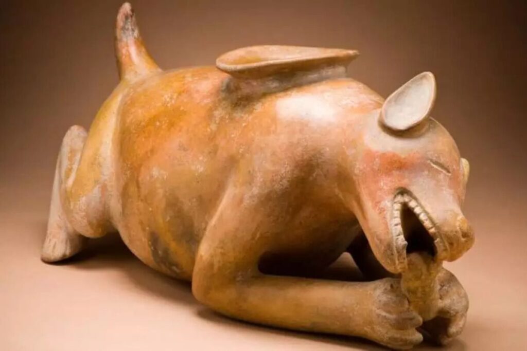 Un estudio reveló la lujosa vida de los perros mayas: tenían mejor dieta que muchas personas imagen-3