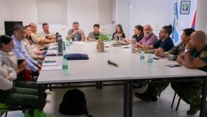 La subcomisión interinstitucional para la conservación del Yaguareté acordó publicar en breve un documento técnico sobre el procedimiento de traslado de “Pará” La subcomisión interinstitucional para la conservación del Yaguareté acordó publicar en breve un documento técnico sobre el procedimiento de traslado de “Pará” imagen-11