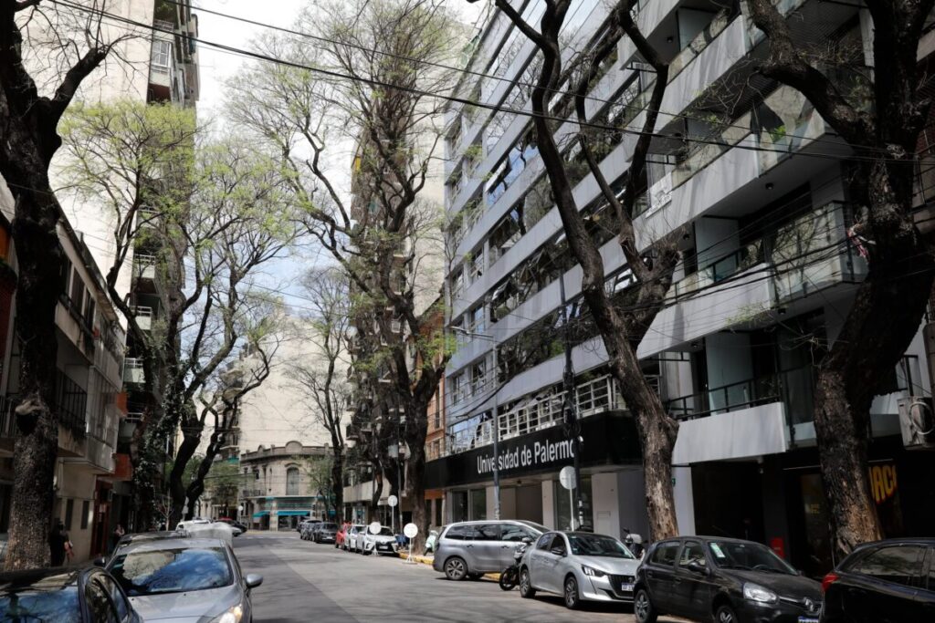 La zona de la ciudad en la que siempre hay demanda de departamentos para alquilar La zona de la ciudad en la que siempre hay demanda de departamentos para alquilar imagen-4