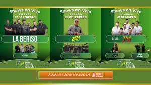 Todo lo que tenés que saber sobre la 35ª Fiesta Nacional del Té en Campo Viera Todo lo que tenés que saber sobre la 35ª Fiesta Nacional del Té en Campo Viera imagen-125