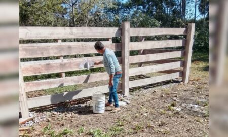 Asociación busca financiamiento para sala de faena en matadero de El Soberbio imagen-15