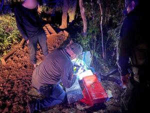 Patrulla de gendarmes halló 33 kilos de marihuana escondidos entre la espesura del monte imagen-1