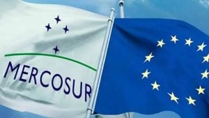 Todos los detalles del acuerdo UE-Mercosur que aprobó el Senado y qué implica para la Argentina Todos los detalles del acuerdo UE-Mercosur que aprobó el Senado y qué implica para la Argentina imagen-16