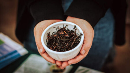 Misiones fortalece el té gourmet con una estrategia que integra producción, calidad y agroturismo imagen-121