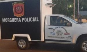 Montecarlo: un hombre murió aplastado mientras realizaba tareas de poda en el barrio Centro Montecarlo: un hombre murió aplastado mientras realizaba tareas de poda en el barrio Centro imagen-7