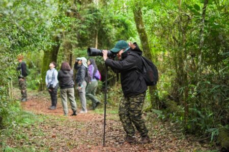 Posadas, sede del Encuentro Regional de Clubes de Observadores de Aves del Litoral Norte imagen-81