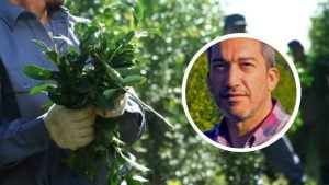 El presidente del INYM postergó reunión con productores para debatir precios y asociaciones convocaron a una asamblea imagen-8