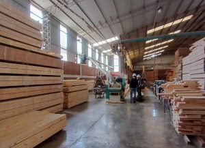 Argentina suma más de 2,1 millones de toneladas de CO₂ evitadas y removidas con dos nuevos proyectos forestales de carbono certificados imagen-3