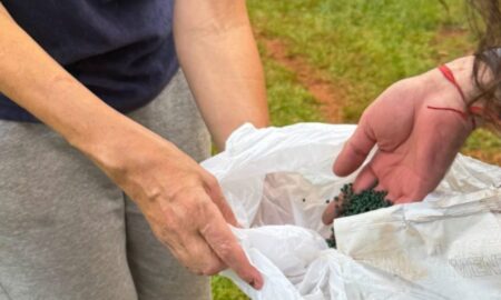 Red de Semillas, la esperanza en movimiento desde el territorio misionero imagen-110