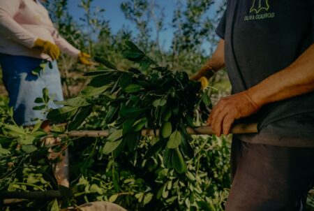 A la espera del amparo judicial: advierten que sin un Inym activo no habrá reglas claras para el sector imagen-7