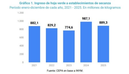 Desregulación y precios: la tormenta que golpea a los productores yerbateros imagen-5