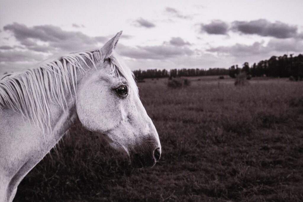 La belleza del paisaje esteño en los ojos de Julian Lennon imagen-95