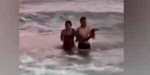 Indignación en Monte Hermoso: una pareja sacó a un pingüino del mar y lo llevaron hasta la orilla para sacarse fotos imagen-2
