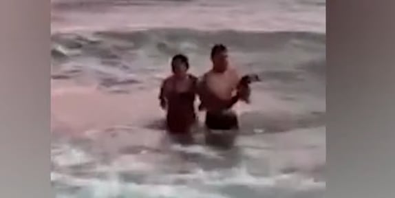 Indignación en Monte Hermoso: una pareja sacó a un pingüino del mar y lo llevaron hasta la orilla para sacarse fotos Indignación en Monte Hermoso: una pareja sacó a un pingüino del mar y lo llevaron hasta la orilla para sacarse fotos imagen-5