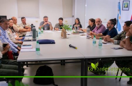 Subcomisión Selva Paranaense analizó datos técnicos y definió acciones en Iguazú imagen-70