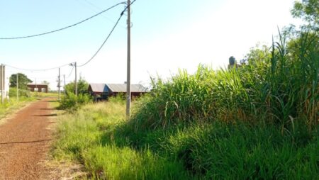 Vecinos de Terrazas 1 reclaman al Iprodha por lotes abandonados y crece la preocupación imagen-12