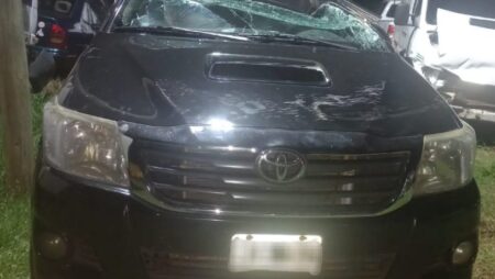 Volcó borracho en la Ruta 12, huyó y lo encontraron escondido en una casa de Jardín América imagen-9