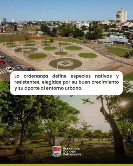 El Plan Forestal Urbano: ¿qué especies de árboles se pueden plantar? El Plan Forestal Urbano: ¿qué especies de árboles se pueden plantar? imagen-13