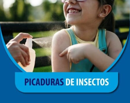 Picaduras de insectos 🦟 imagen-82