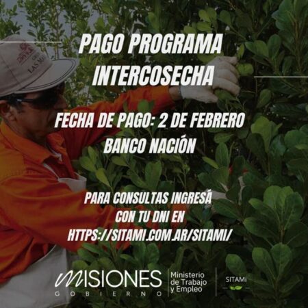 Programa Intercosecha imagen-13