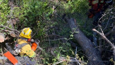 Brigadistas misioneros brindan apoyo en el combate de incendios en la Patagonia imagen-9