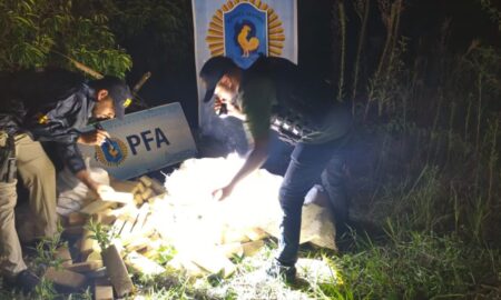 Secuestran 190 kilos de marihuana en un monte cerca de la frontera con Brasil imagen-7