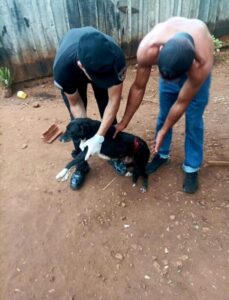 Un hombre fue detenido por atacar y herir a un perro con un machete imagen-70