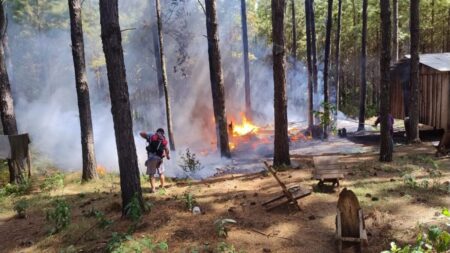 Incendios en la Zona Centro arrojaron daños materiales, sin personas lesionadas imagen-67